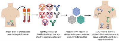 Promise and Progress of an HIV-1 Cure by Adeno-Associated Virus Vector Delivery of Anti-HIV-1 Biologics